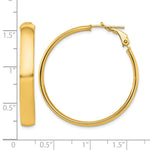 Carica l'immagine nel visualizzatore di Gallery, 10K Yellow Gold Round Square-Tube Hoop Omega Back Hoop Earrings 37.5mm x 5mm
