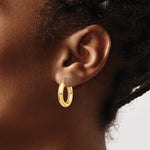 Load image into Gallery viewer, 10K Yellow Gold Round Classic Hoop Earrings 20mm x 4mm
