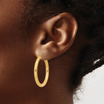 Carica l'immagine nel visualizzatore di Gallery, 10K Yellow Gold Round Classic Hoop Earrings 30mm x 3mm
