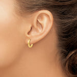 Load image into Gallery viewer, 10k Yellow Gold Hoop Earrings Hinged
