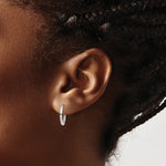 Cargar imagen en el visor de la galería, 10k White Gold Earrings Hinged
