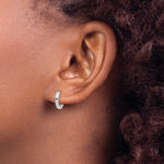 Load image into Gallery viewer, 10k White Gold Hoop Earrings Hinged
