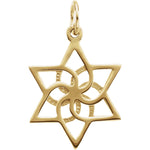 Lade das Bild in den Galerie-Viewer, 14K Yellow Gold or Sterling Silver Star of David Pendant Charm
