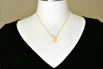 Загрузить изображение в средство просмотра галереи, 14k Gold 10k Gold Silver Michigan State Heart Personalized City Necklace
